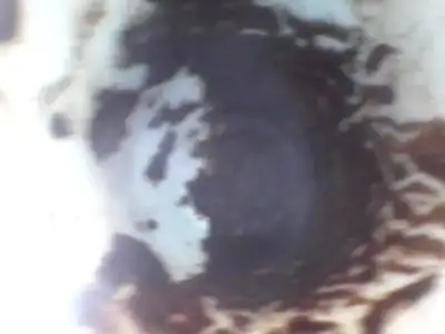 $Snapshot_20110706_2.webp