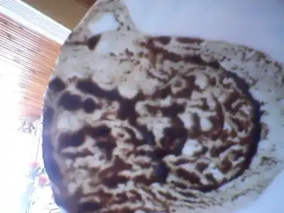 $Snapshot_20110706_5.webp