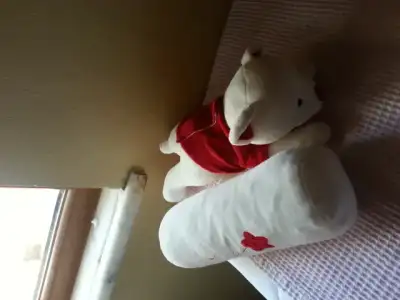 20150205_133632.webp