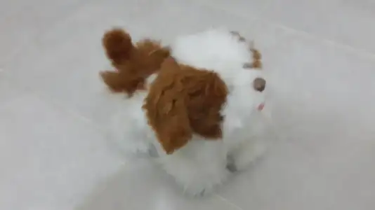 20150208_124633.webp
