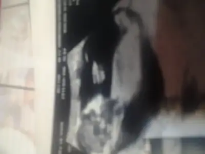 2015-02-10 10.14.01.webp