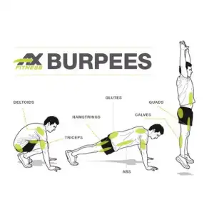 Screen shot 2015-02-10 at 10.16.00 PM.webp