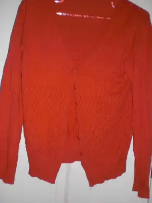 CIMG2395.webp