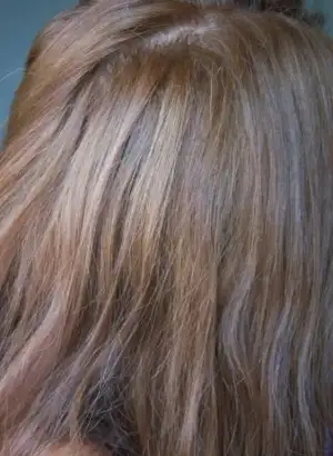 $100_7749.webp