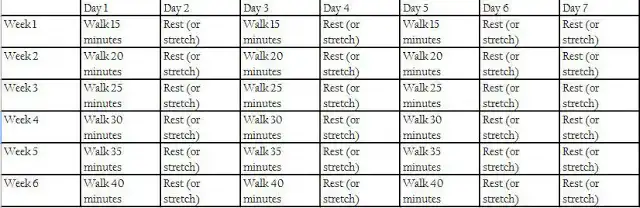 Beginner I 6-Week Walking Plan.webp