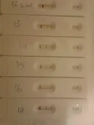 2015-02-18 17.51.48.webp