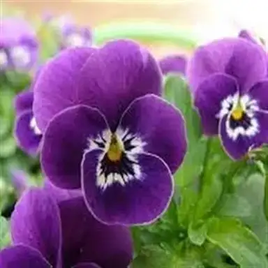 Erken Ergenlik Page 3 Kadinlar Kulubu