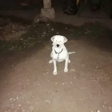 Edirne Trakya Universitesi Tup Bebek Kadinlar Kulubu