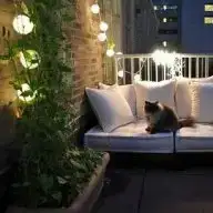 sexy urban legends watch damat koğuşu filmi