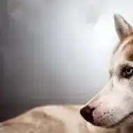 Ankara Da Doktor Onerileri Page 3 Kadinlar Kulubu