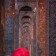 Bu Gorunen Sizce Pipi Mi Kadinlar Kulubu