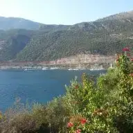bebegim cok kusuyor kadinlar kulubu