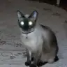 Saadetsimay