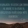 sedaa_23