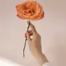 mayamina