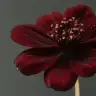 190637
