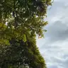 gktrkhsn