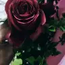 Adymn02
