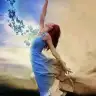 aliceharikalardiyarinda