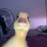 mananana