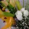 yaren_yasar