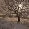 Lonalem