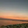 nasipetsin