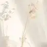 musaay