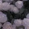 Ayten_h
