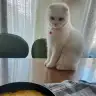 Ftmfgn