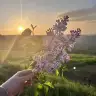 yirmibesekim