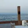 hllgkchl