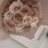Arya_0101