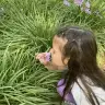 kynghn