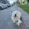 Kahvedelisiiii