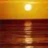 sex_onthe_beach