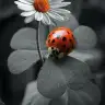 BirEfsanEmine