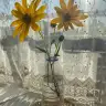 elizabeth9696