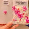 Sfydfnslm