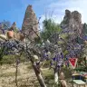 papatyaceren
