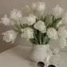 Kardelen344513