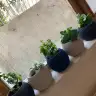 Seymanurr