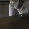 ozlmbysl