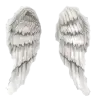 songbird