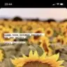 gamze_01