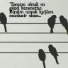 zZeynepp1