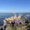 entiti