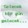 emka81