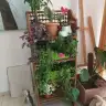Dilamm02
