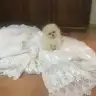 cerenbirmasall